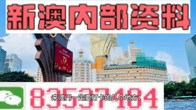 2025年新澳门正版免费大全，精选解析与落实策略