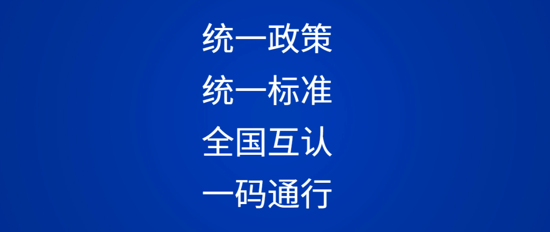 澳门管家婆一码一肖，全面释义解释落实