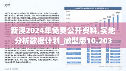 2025新澳免费资料，实用释义解释落实