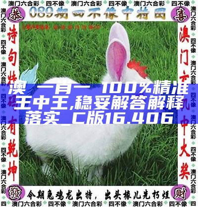 2025年港澳彩，精选解析、解释与落实
