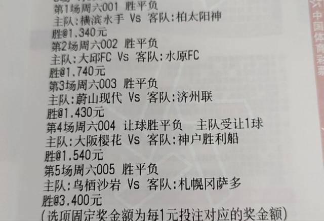 新:奥天天开奖资料大全，精选解析解释落实