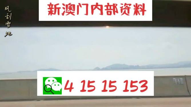 澳门天天彩期期精准十二生肖，全面释义解释落实