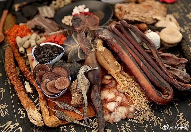 什么草药补肾壮阳最好，词语释义解释落实
