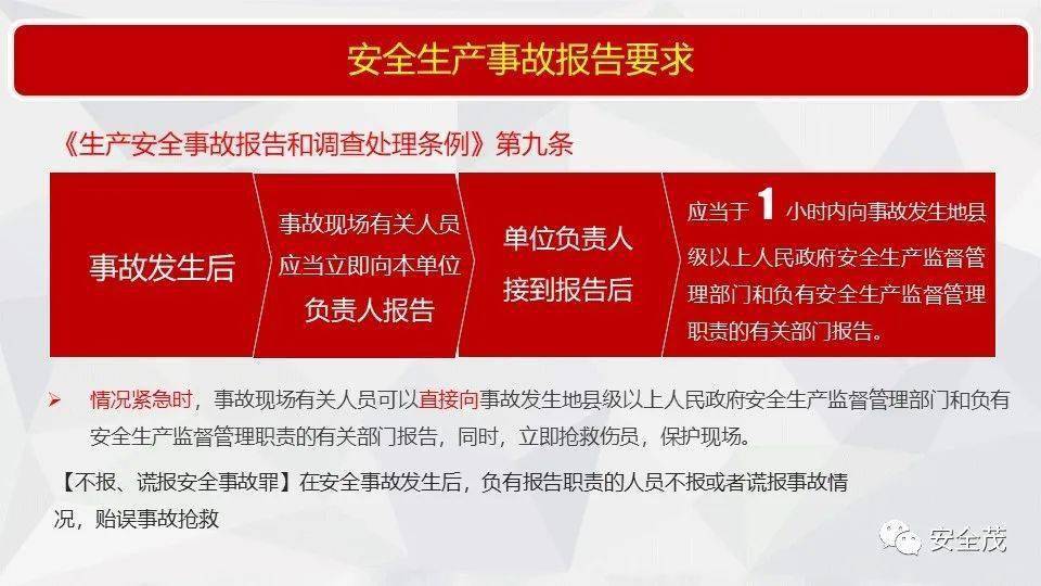 2025新奥正版资料免费提供，全面释义解释落实