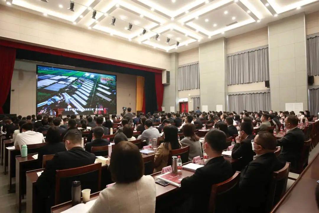 2025澳门历史记录，词语释义解释落实