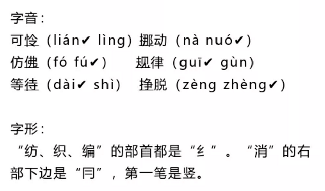 一码一肖一特一中2025，词语释义解释落实
