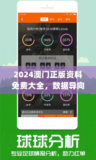 澳门管家婆100，词语释义解释落实