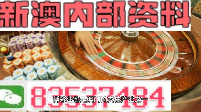 新澳门全年免费料精准，精选解析解释落实