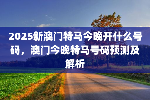 2025澳门特马今晚开，词语释义解释落实