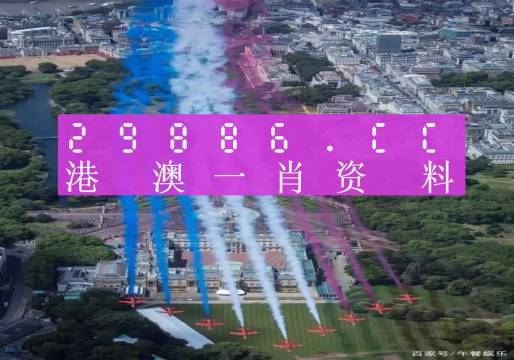 大三巴一肖一码中，实用释义解释落实